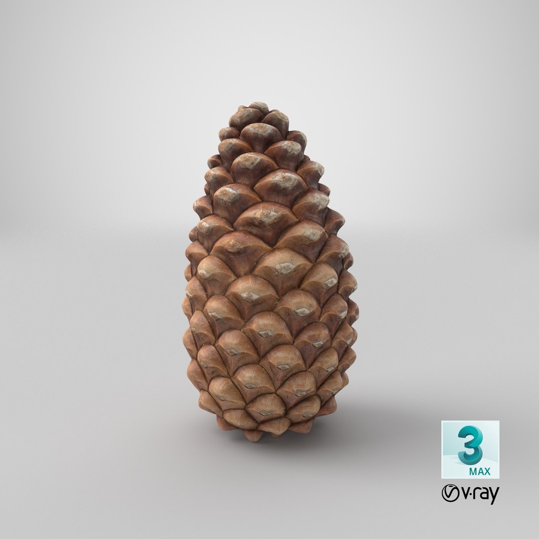 closed pine cone 3ds https://p.turbosquid.com/ts-thumb/yB/WdK0Qc/8p/stemcell_max_vray_render/png/1655490652/1920x1080/fit_q87/dd38c77c7db5bc98a409f1cab2f95a1e6e4e7486/stemcell_max_vray_render.jpg