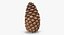 closed pine cone 3ds