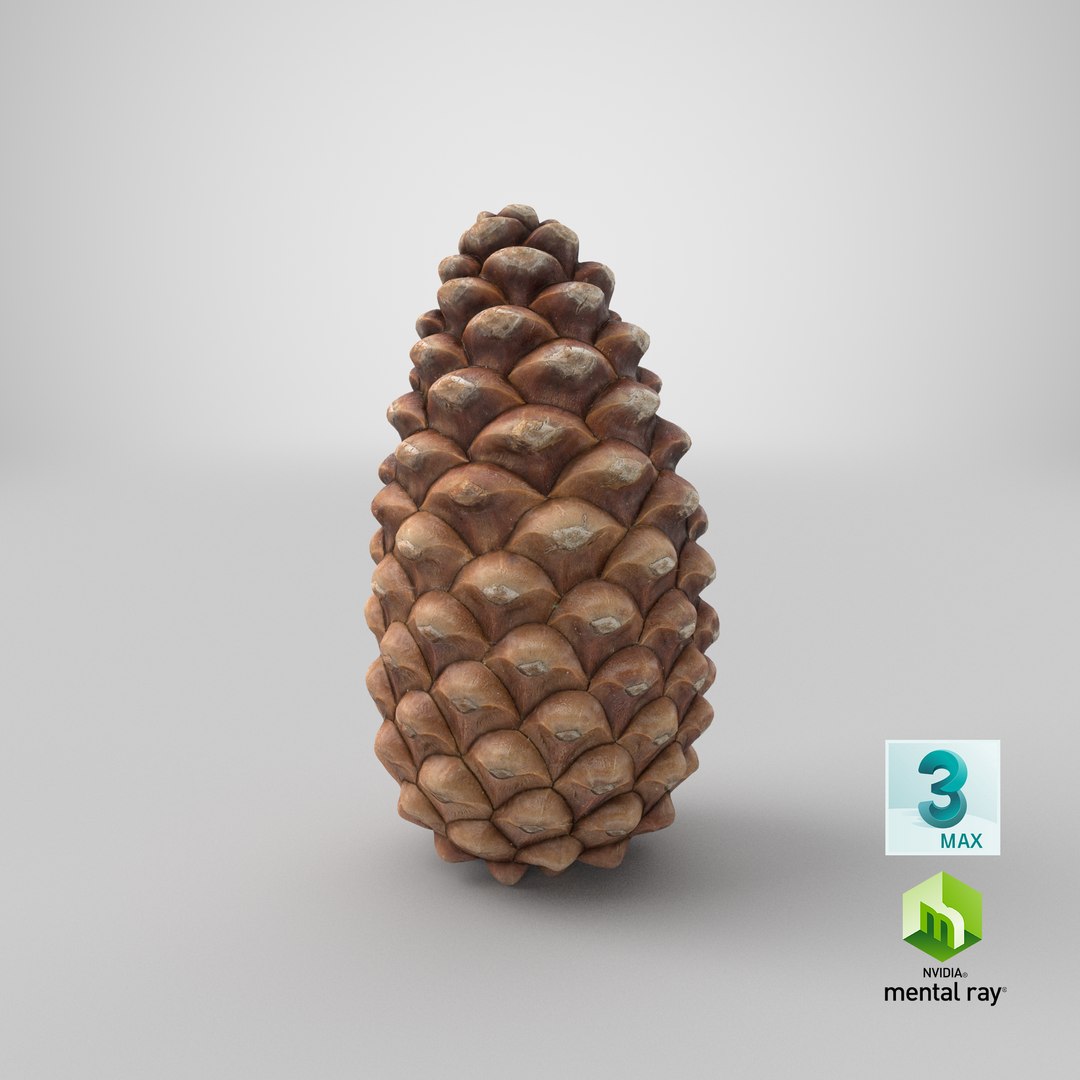 closed pine cone 3ds https://p.turbosquid.com/ts-thumb/yB/WdK0Qc/Ee/stemcell_max_mental_ray_render/png/1655490650/1920x1080/fit_q87/7cdbb2986d34fd67fa5f3db52d05dbfd29d6c48d/stemcell_max_mental_ray_render.jpg