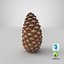 closed pine cone 3ds