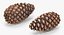 closed pine cone 3ds