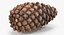 closed pine cone 3ds