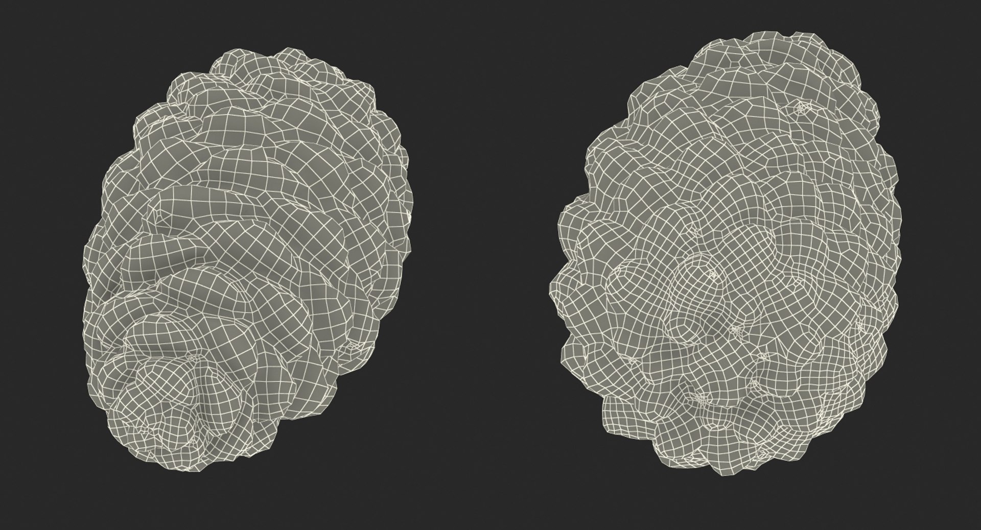closed pine cone 3ds https://p.turbosquid.com/ts-thumb/yB/WdK0Qc/MDsBvff3/closedpinecone3dsmodel032/jpg/1488782810/1920x1080/fit_q87/83fcb189e82eed28613e8f1985a4f3065875a28a/closedpinecone3dsmodel032.jpg