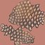 closed pine cone 3ds