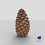 closed pine cone 3ds