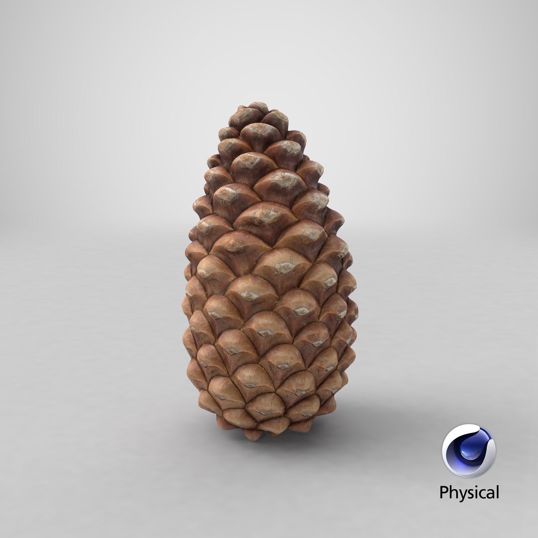 closed pine cone 3ds https://p.turbosquid.com/ts-thumb/yB/WdK0Qc/bt/stemcell_cinema_4d_physical_render/png/1655490640/1920x1080/fit_q87/37a4addd2fe21a0a9b8bdebdff7c7a71fb0dbcf8/stemcell_cinema_4d_physical_render.jpg