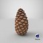 closed pine cone 3ds