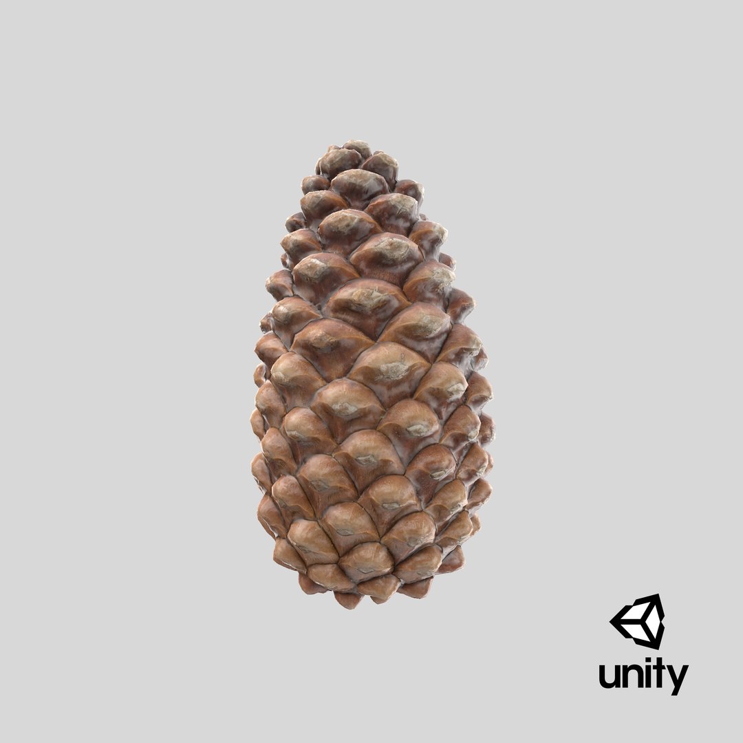 closed pine cone 3ds https://p.turbosquid.com/ts-thumb/yB/WdK0Qc/ph/stemcell_unity_render/png/1655490644/1920x1080/fit_q87/ca40d13f404a61b9b2e3ebfd93282dfc27420599/stemcell_unity_render.jpg