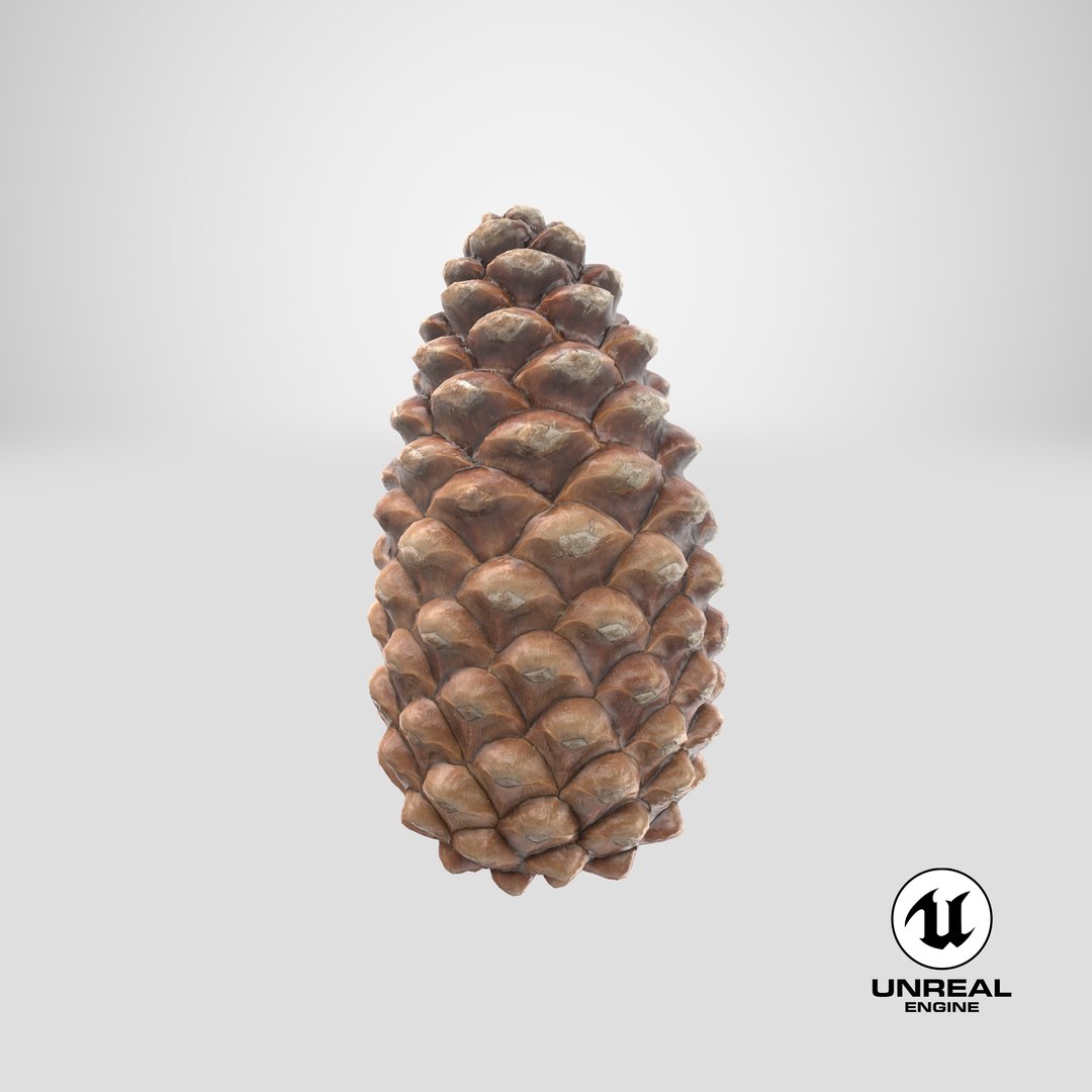 closed pine cone 3ds https://p.turbosquid.com/ts-thumb/yB/WdK0Qc/rj/stemcell_unreal_render/png/1655490646/1920x1080/fit_q87/a17dbc18fc76609de5cbaeb3c53bf815fcb57f4f/stemcell_unreal_render.jpg