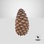 closed pine cone 3ds