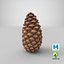 closed pine cone 3ds