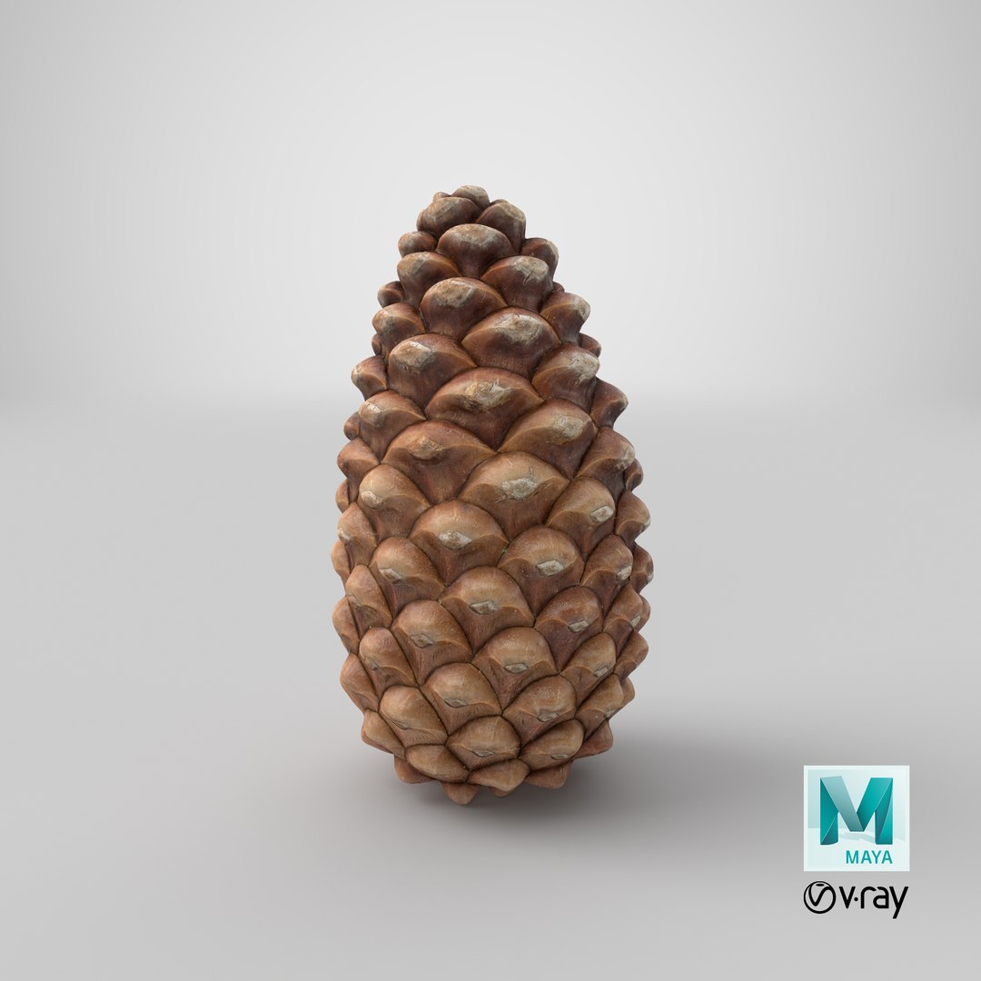 closed pine cone 3ds https://p.turbosquid.com/ts-thumb/yB/WdK0Qc/wA/stemcell_maya_vray_render/png/1655490658/1920x1080/fit_q87/cf37da010877ff4605573e94e69a2b7d8d065c04/stemcell_maya_vray_render.jpg