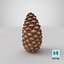 closed pine cone 3ds