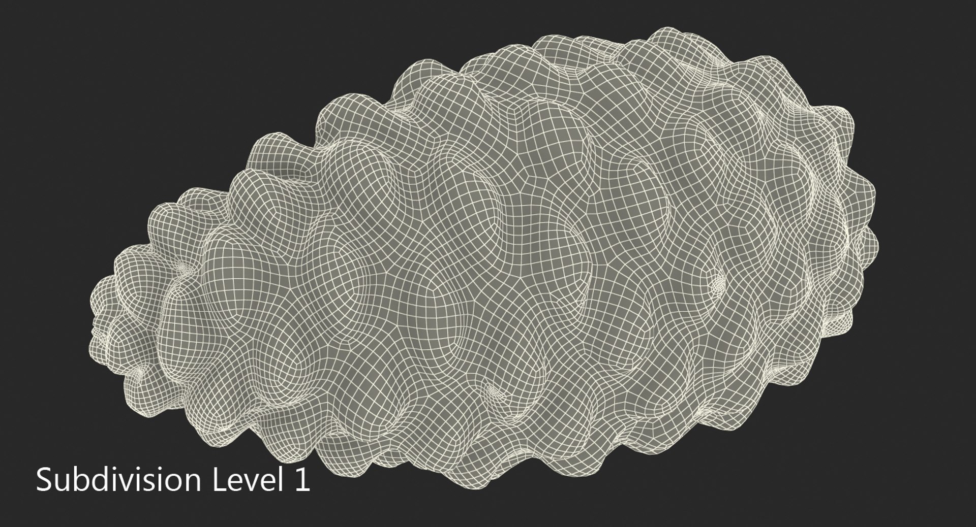 closed pine cone 3ds https://p.turbosquid.com/ts-thumb/yB/WdK0Qc/zG9EEilE/closedpinecone3dsmodel025/jpg/1488782809/1920x1080/fit_q87/5ca97e7ab33ff2ead8f4c0c5eda33b2628bd30d2/closedpinecone3dsmodel025.jpg