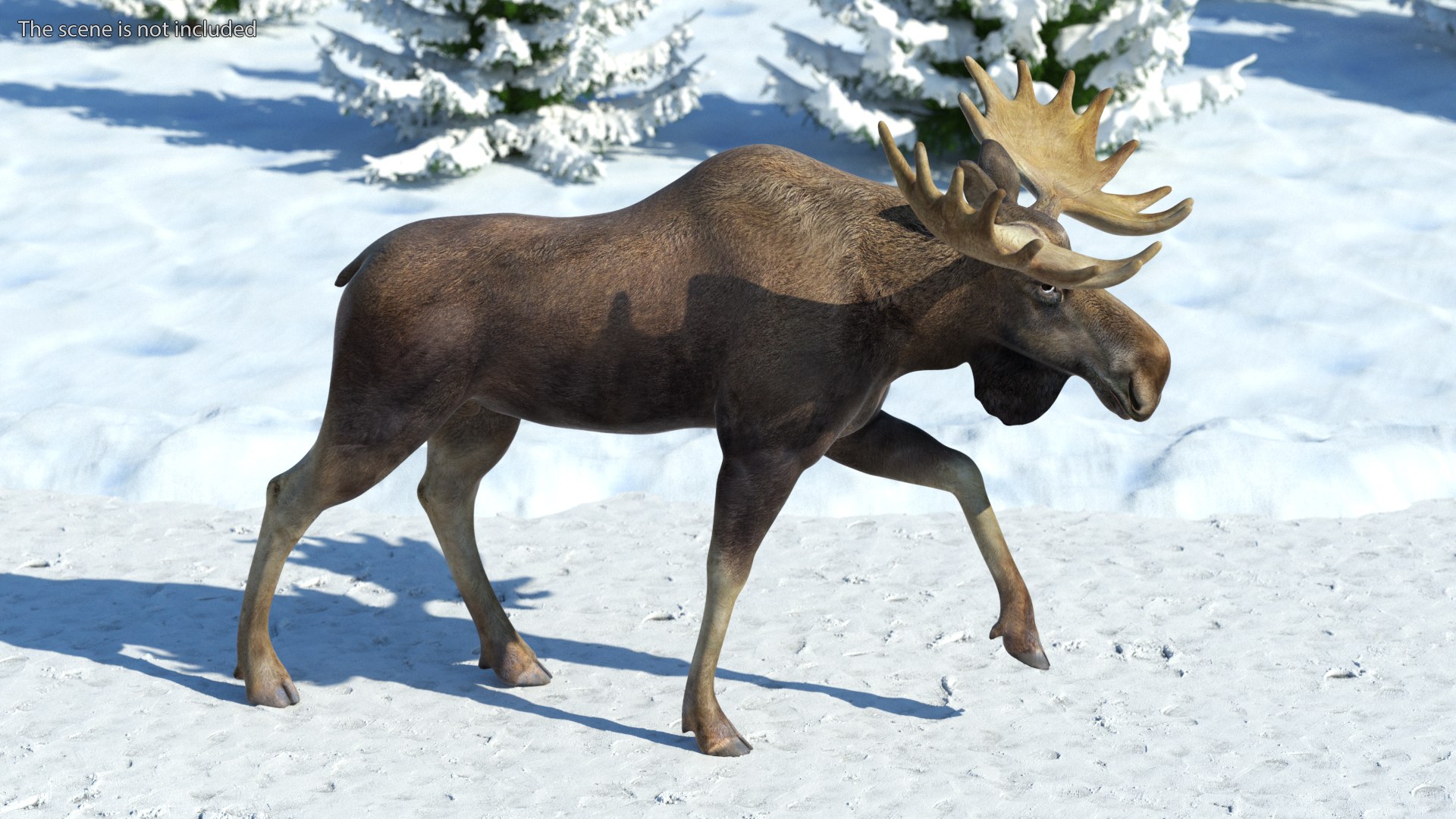 Elk No Fur Rigged model https://p.turbosquid.com/ts-thumb/yB/beYgTZ/3j/elknofurrigged3dmodel005/jpg/1687971010/1920x1080/fit_q87/05dff2ee62d23ce81f4368f7c1f1562f9a03e3f8/elknofurrigged3dmodel005.jpg