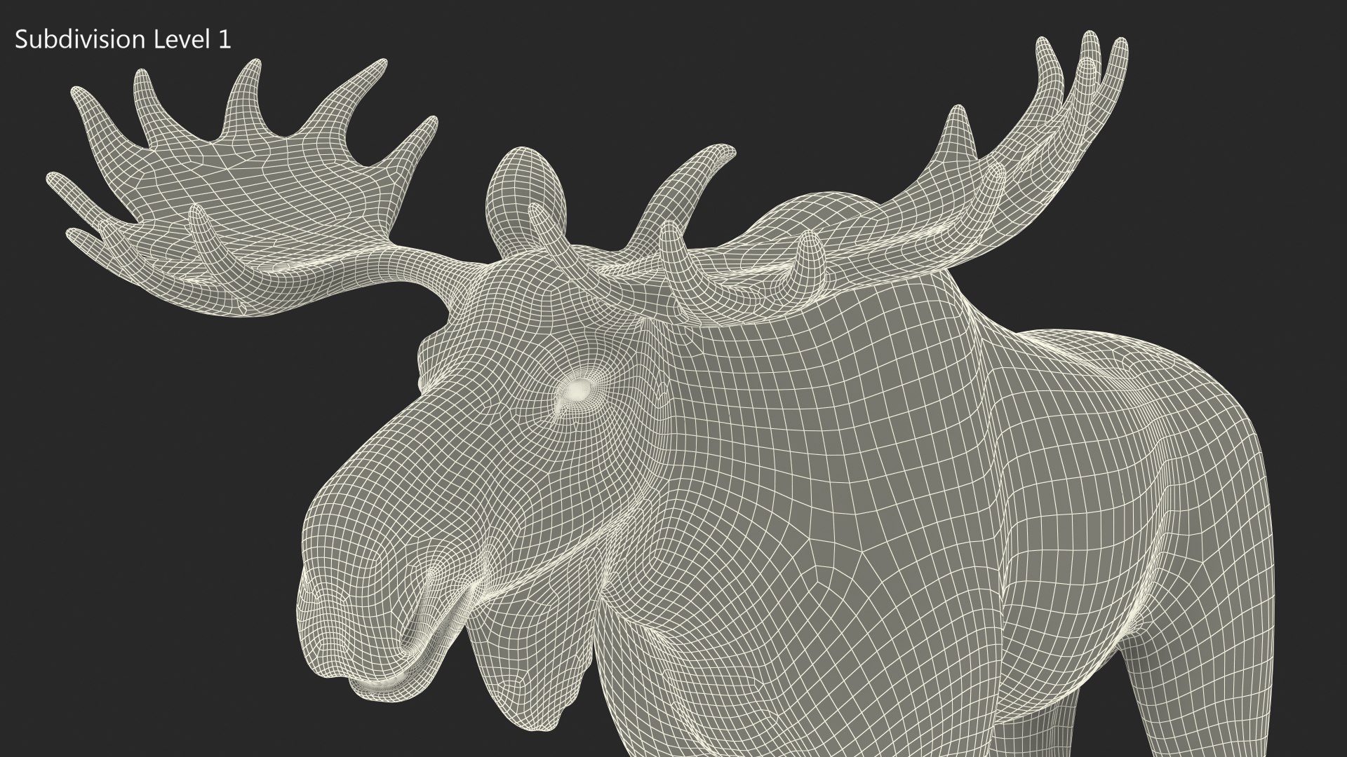 Elk No Fur Rigged model https://p.turbosquid.com/ts-thumb/yB/beYgTZ/bS/elknofurrigged3dmodel028/jpg/1687971107/1920x1080/fit_q87/9524a4d469eaad50a66d7a97a30a6b10ab449952/elknofurrigged3dmodel028.jpg