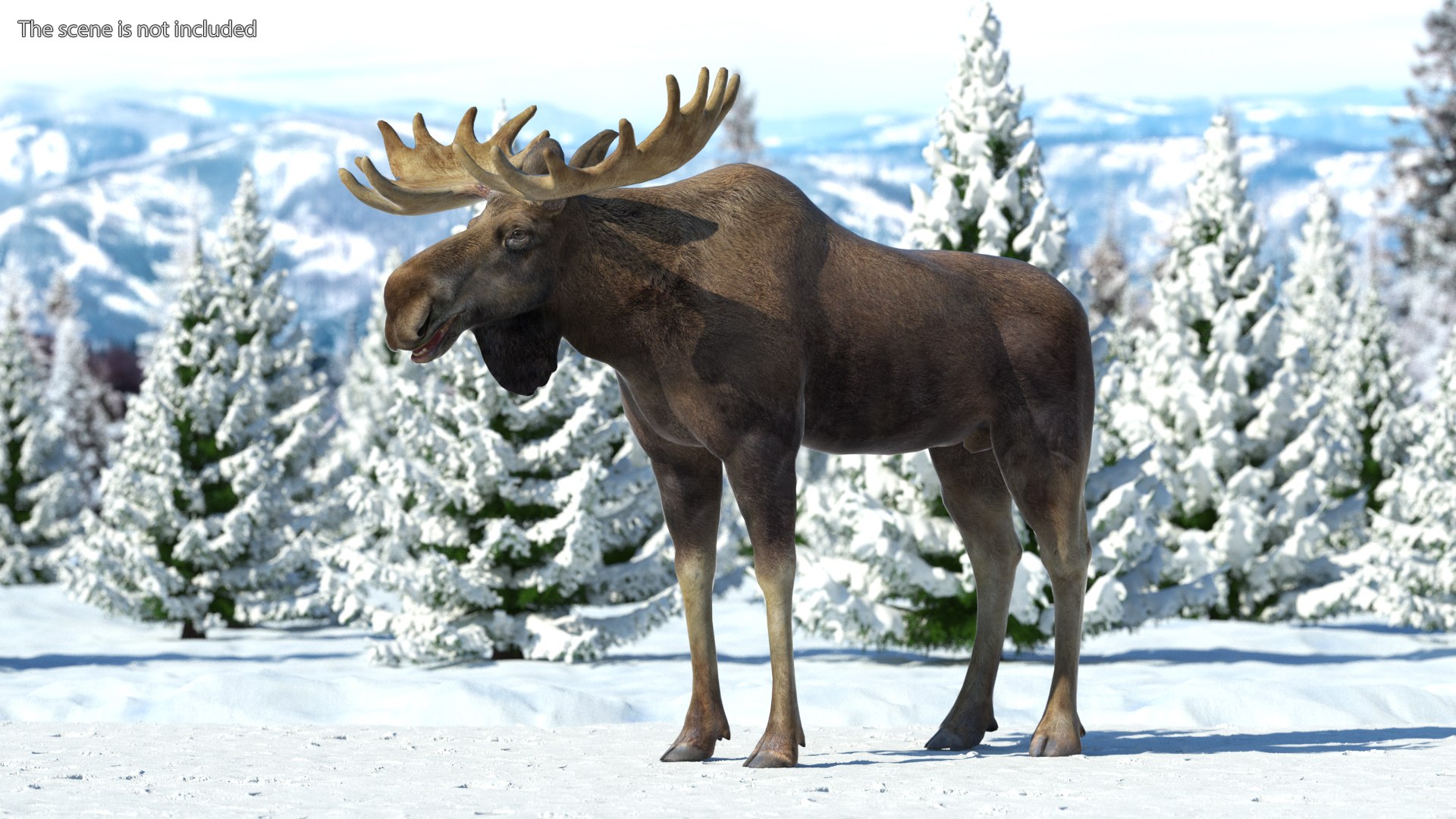 Elk No Fur Rigged model https://p.turbosquid.com/ts-thumb/yB/beYgTZ/lx/elknofurrigged3dmodel002/jpg/1687970997/1920x1080/fit_q87/48b36c209a4cafe21b5b769d096b19677b85a4b9/elknofurrigged3dmodel002.jpg
