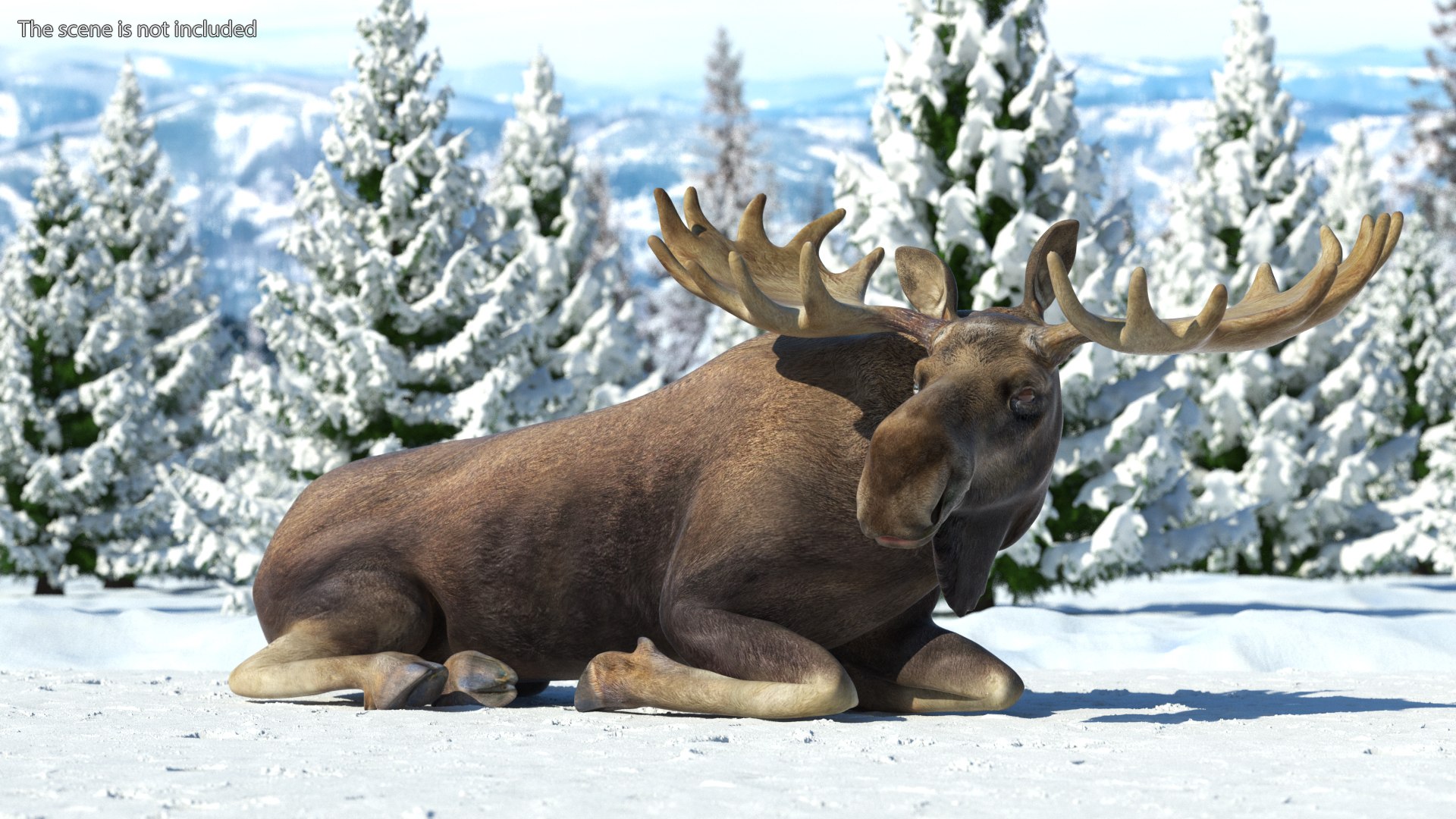 Elk No Fur Rigged model https://p.turbosquid.com/ts-thumb/yB/beYgTZ/rx/elknofurrigged3dmodel003/jpg/1687971001/1920x1080/fit_q87/9b8229d27e79c585f1d485fad6dec421e762e728/elknofurrigged3dmodel003.jpg