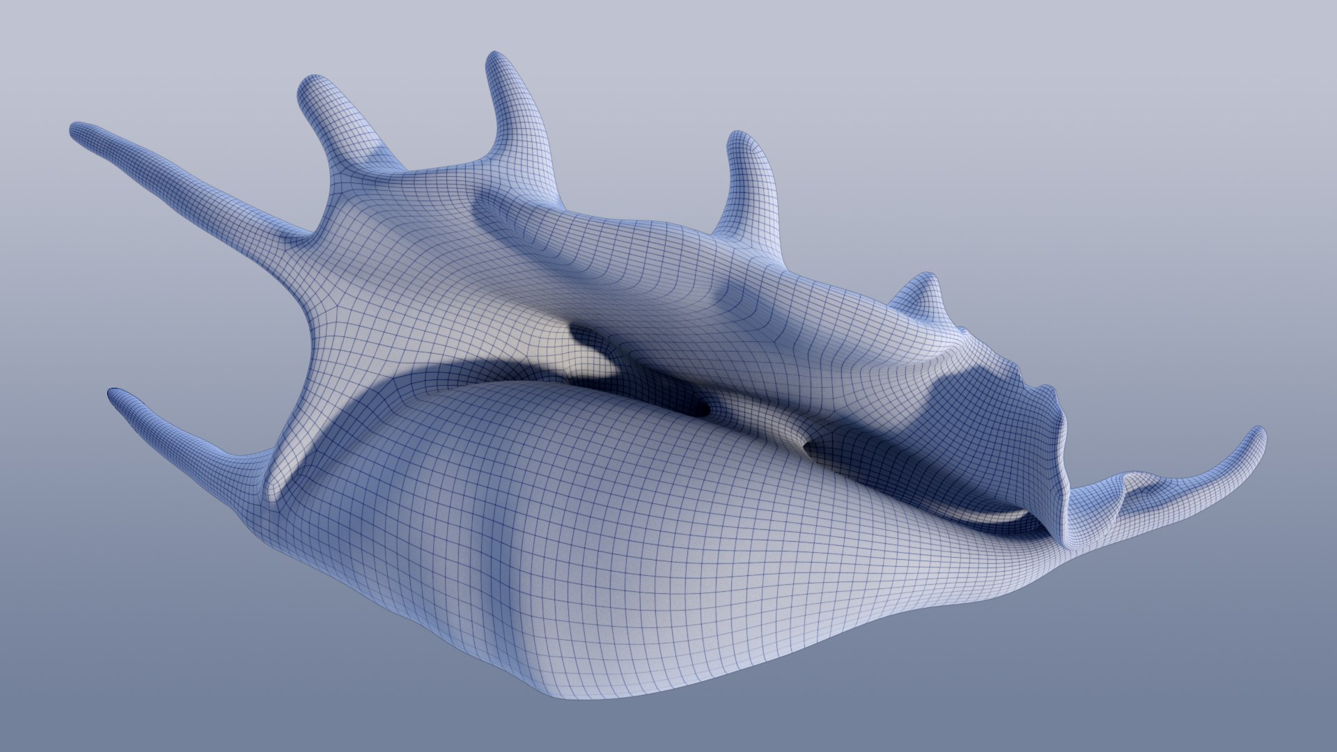 3D Sea Shell Spider Conch Lambis Lambis https://p.turbosquid.com/ts-thumb/yB/qm0XY8/99/w02/jpg/1660158787/1920x1080/fit_q87/8065c038189d81d14292cbafe2d00227da1735ef/w02.jpg