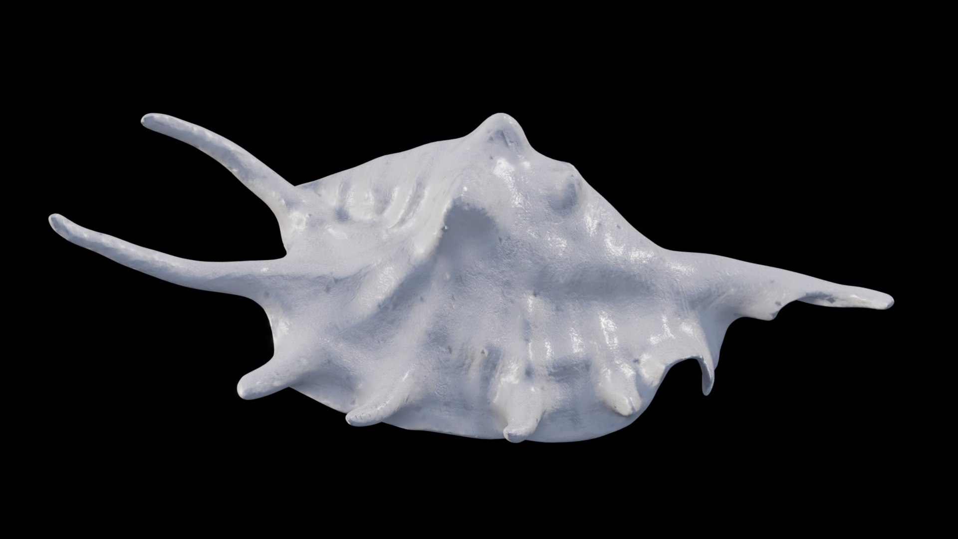 3D Sea Shell Spider Conch Lambis Lambis https://p.turbosquid.com/ts-thumb/yB/qm0XY8/et/shell_6/jpg/1660162980/1920x1080/fit_q87/9fd5b8193dddea99239ca7f08eff3e616d119c57/shell_6.jpg