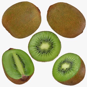 Kiwi Collection 3D model