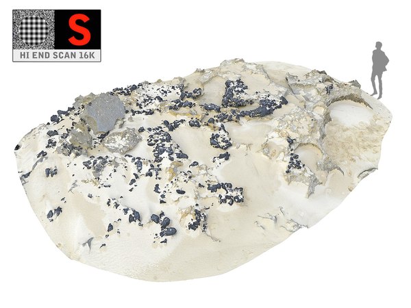 3D rocky coral beach ultra model