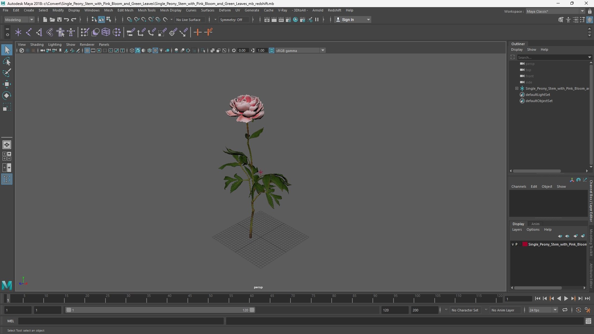 3D Single Peony Stem with Pink Bloom and Green Leaves https://p.turbosquid.com/ts-thumb/yC/A5BjFk/gP/single_peony_stem_with_pink_bloom_and_green_leaves_1002/jpg/1761615901/1920x1080/fit_q87/fe8d9e79c4a77a6cd7a2bd75edfdb7adf135db54/single_peony_stem_with_pink_bloom_and_green_leaves_1002.jpg