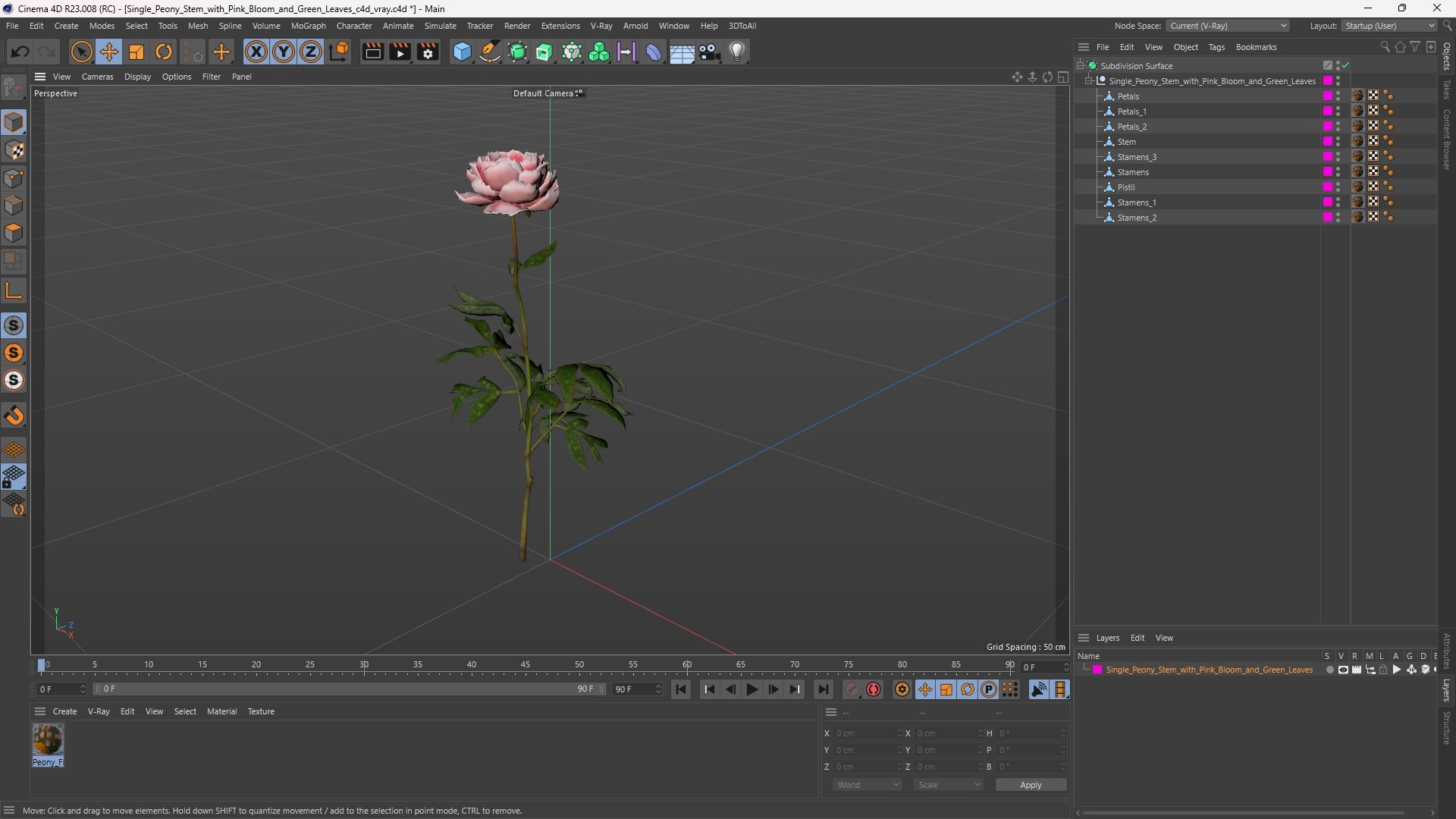 3D Single Peony Stem with Pink Bloom and Green Leaves https://p.turbosquid.com/ts-thumb/yC/A5BjFk/ki/single_peony_stem_with_pink_bloom_and_green_leaves_1003/jpg/1761615905/1920x1080/fit_q87/3a32c4f943bf9a9e8f0f64ae5ea23aecf085a256/single_peony_stem_with_pink_bloom_and_green_leaves_1003.jpg