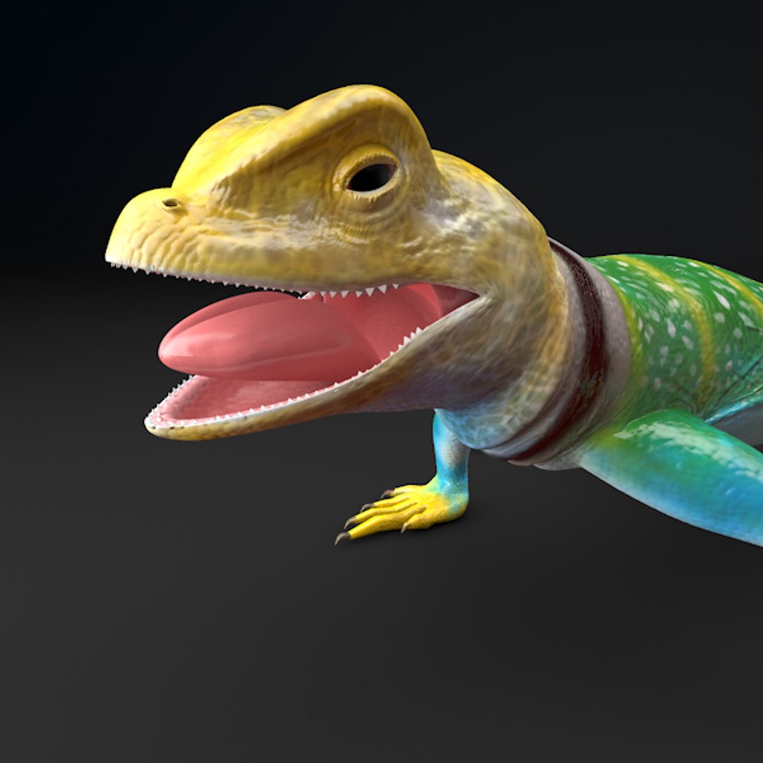 collar lizard 3d model https://p.turbosquid.com/ts-thumb/yC/ArIUAK/1kRNBPDQ/image_008/jpg/1359442027/1920x1080/fit_q87/97dcc17fb7b6fc3438eb654c5ac4975667eb0355/image_008.jpg