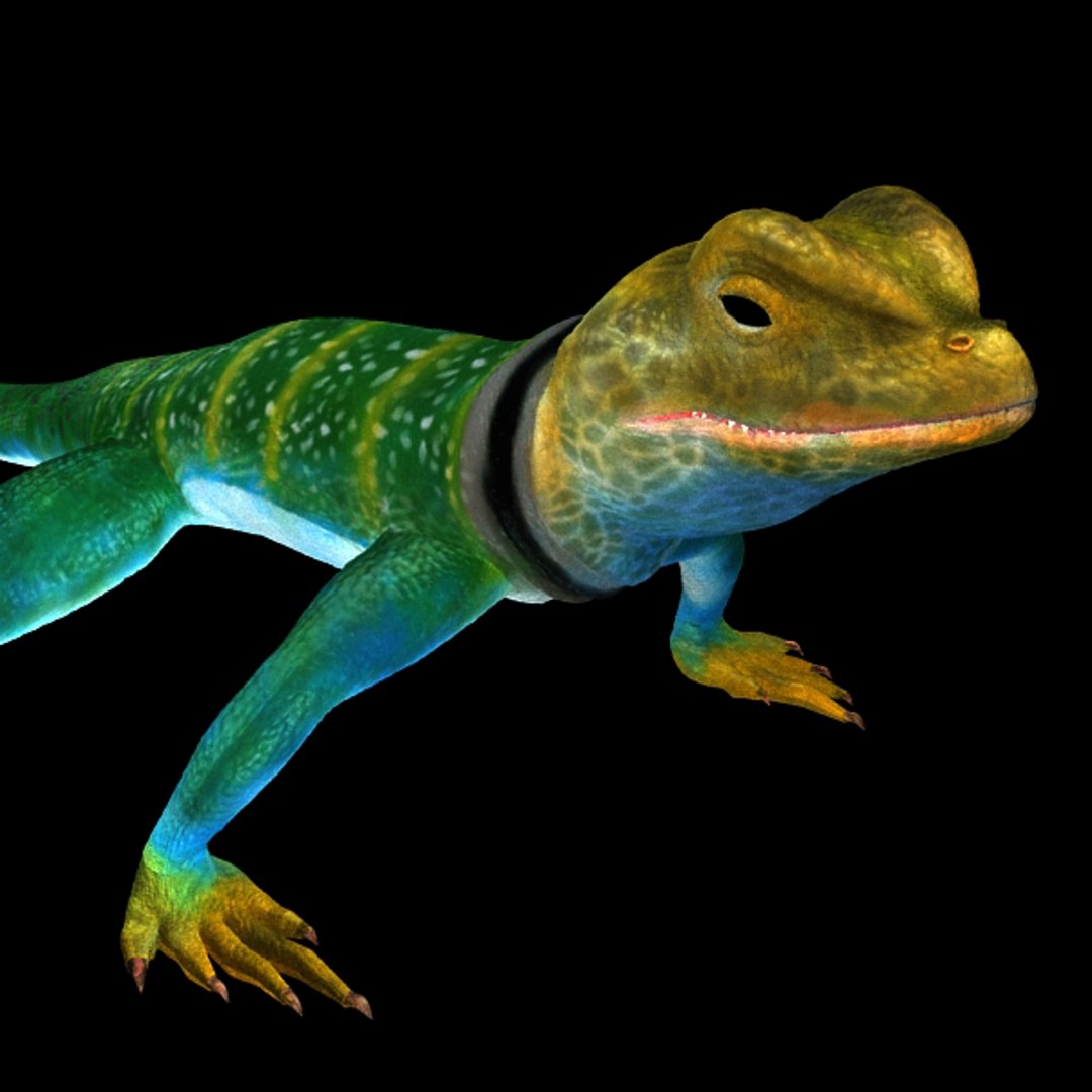 collar lizard 3d model https://p.turbosquid.com/ts-thumb/yC/ArIUAK/W7CGQOSX/image_004/jpg/1359442027/1920x1080/fit_q87/99d6f8e5b18743c9757a8acba3de497a9a8a328b/image_004.jpg