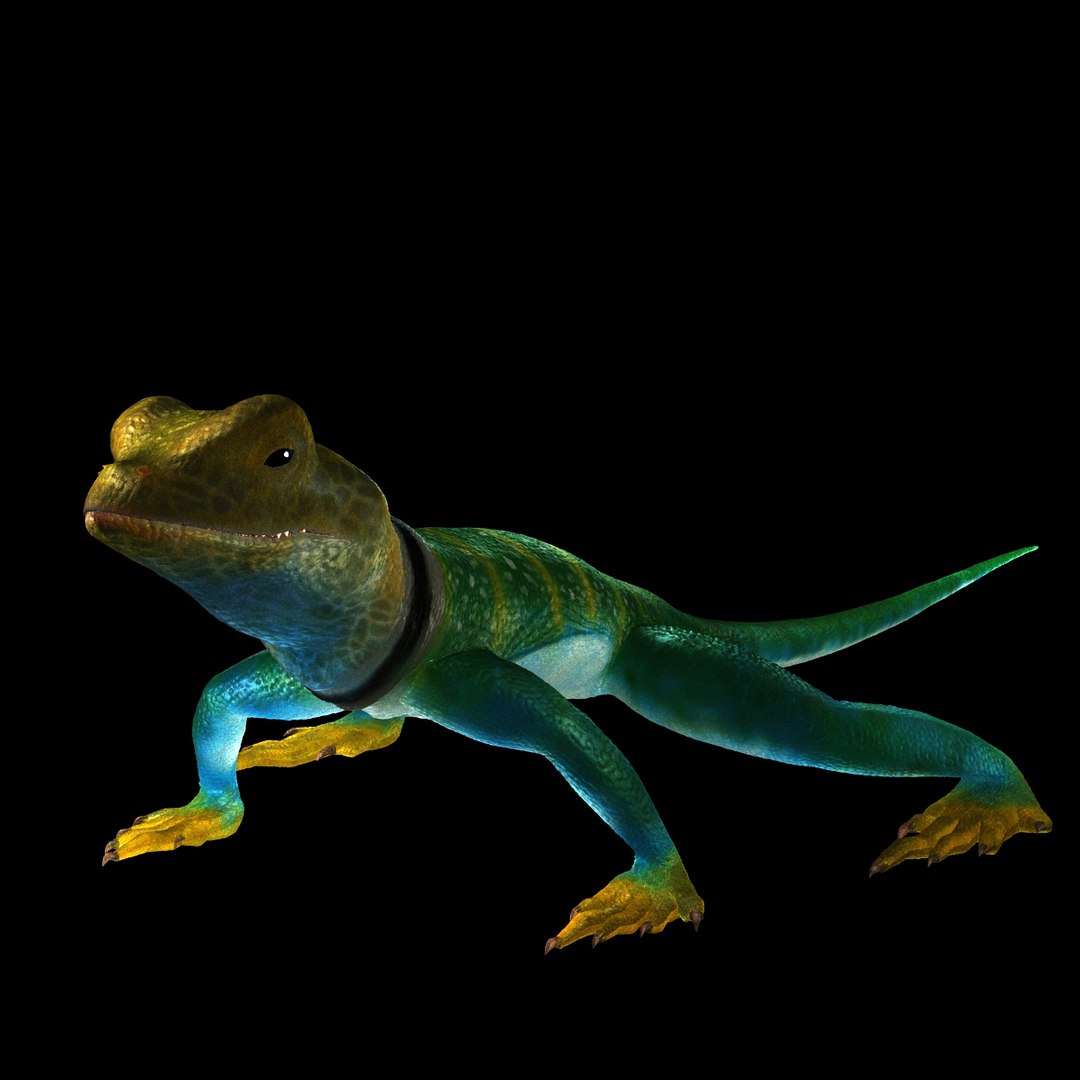 collar lizard 3d model https://p.turbosquid.com/ts-thumb/yC/ArIUAK/ajFvZen4/image_006/jpg/1359442027/1920x1080/fit_q87/af654493c9b1898b5dee086480d741be0a05bb50/image_006.jpg