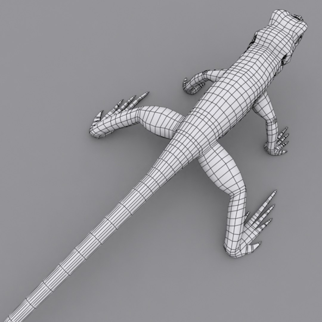 collar lizard 3d model https://p.turbosquid.com/ts-thumb/yC/ArIUAK/gGYlD66U/image_013/jpg/1359442027/1920x1080/fit_q87/31626609a491215a51cfa7579a5ea95fd9a0cbb6/image_013.jpg