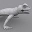 Lagarto coleira