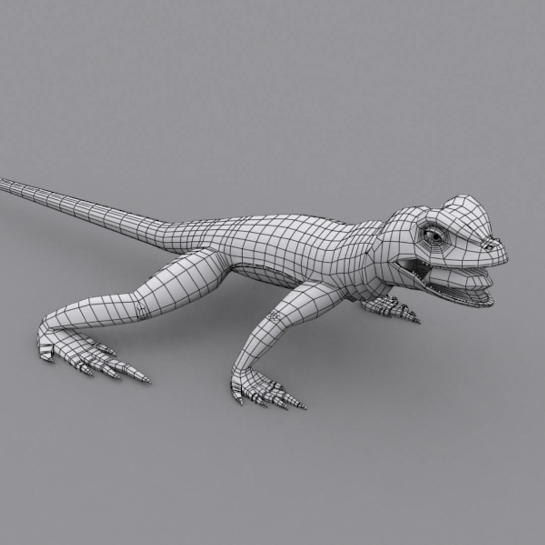 collar lizard 3d model https://p.turbosquid.com/ts-thumb/yC/ArIUAK/qbfBC0aD/image_011/jpg/1359442027/1920x1080/fit_q87/d945681bb9457b682c9fa9fc18833e7cbfc0d719/image_011.jpg