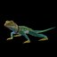 Lagarto coleira