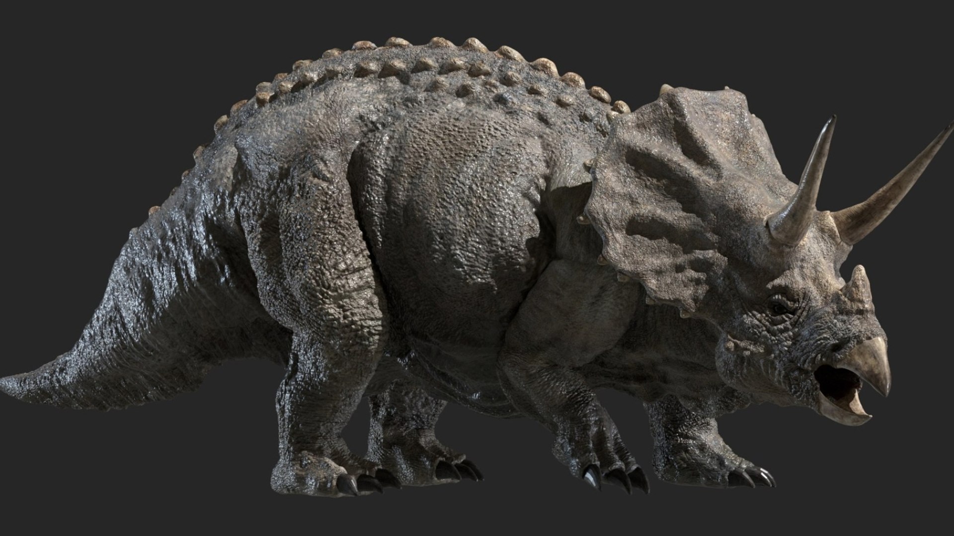 triceratops 3D 3D model https://p.turbosquid.com/ts-thumb/yC/AuHx52/0h/04/jpg/1750642801/1920x1080/fit_q87/9e448a259a9e5c782221f1ef659bacf14b27cc5d/04.jpg