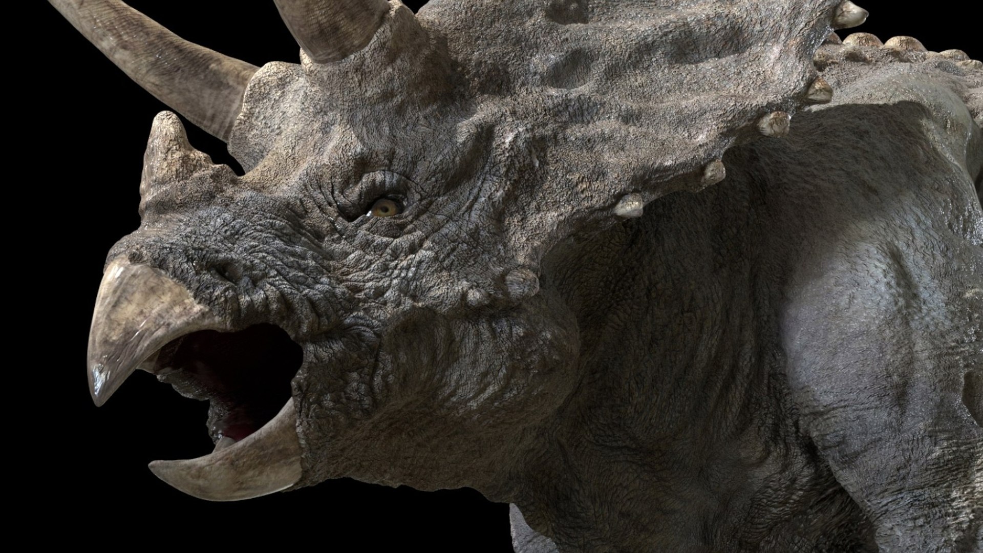 triceratops 3D 3D model https://p.turbosquid.com/ts-thumb/yC/AuHx52/7Y/15/jpg/1750642806/1920x1080/fit_q87/f13d50b959281c3206b861b87fd3077990d05828/15.jpg