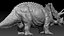 triceratopo 3D