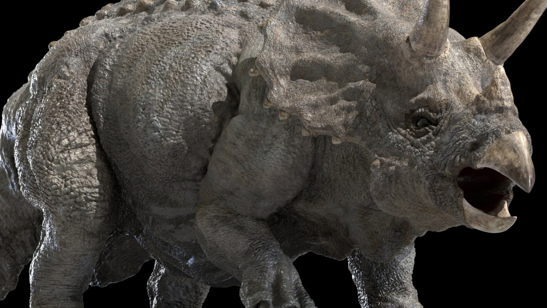 triceratops 3D 3D model https://p.turbosquid.com/ts-thumb/yC/AuHx52/Ef/14/jpg/1750642806/1920x1080/fit_q87/6b94a54cdbfbda7f508ed50407ffba649de91bc3/14.jpg