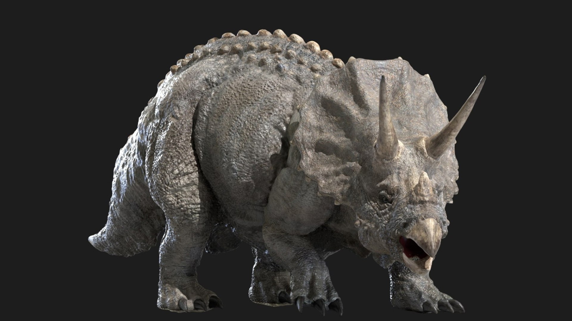 triceratops 3D 3D model https://p.turbosquid.com/ts-thumb/yC/AuHx52/Fb/03/jpg/1750642800/1920x1080/fit_q87/98c5dd82a99862c76deb817d15c7d77b081af6d9/03.jpg