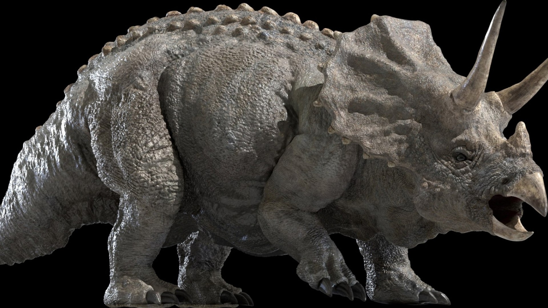 triceratops 3D 3D model https://p.turbosquid.com/ts-thumb/yC/AuHx52/JI/17/jpg/1750642793/1920x1080/fit_q87/7b9ec043d05114a7942fbef8dd094725a95d1f0e/17.jpg