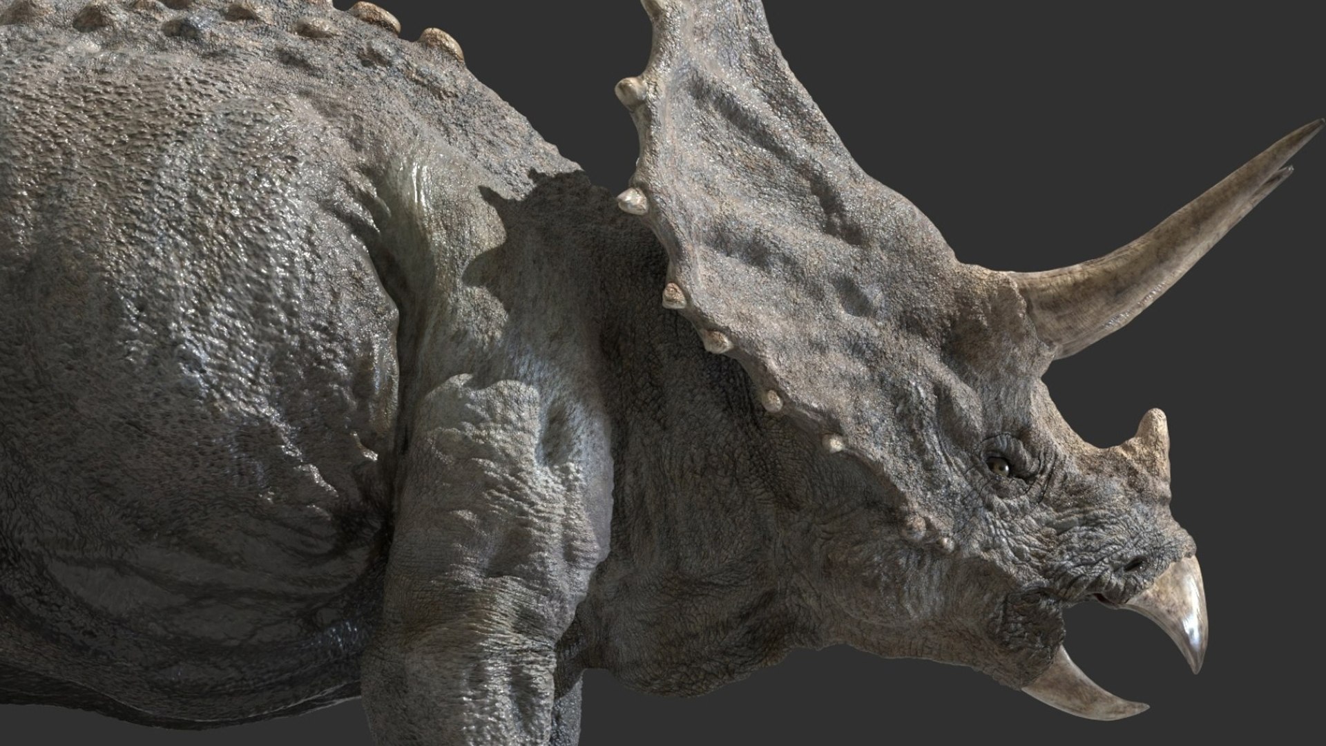 triceratops 3D 3D model https://p.turbosquid.com/ts-thumb/yC/AuHx52/MP/05/jpg/1750642801/1920x1080/fit_q87/d9f40544286498ac184c27d1aadaeb64eb5c4a1d/05.jpg