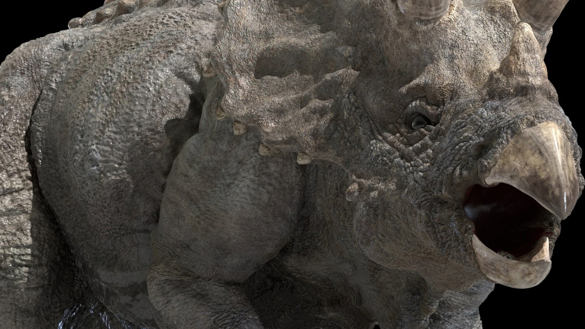 triceratops 3D 3D model https://p.turbosquid.com/ts-thumb/yC/AuHx52/Md/16/jpg/1750642792/1920x1080/fit_q87/afbdf0676ef33288cf18378f74c7eadb830cb41a/16.jpg