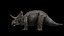 triceratopo 3D