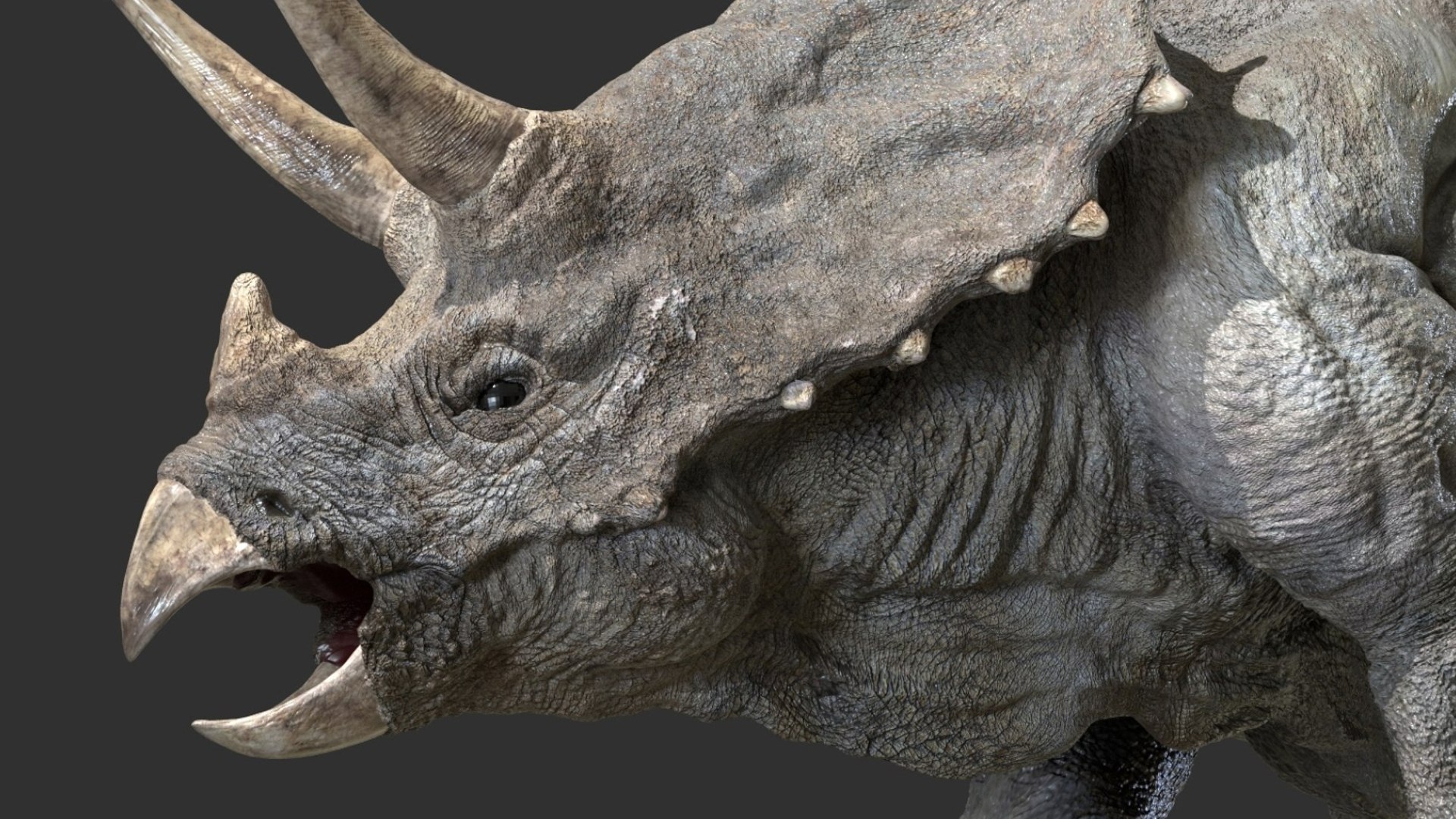 triceratops 3D 3D model https://p.turbosquid.com/ts-thumb/yC/AuHx52/a1/13/jpg/1750642806/1920x1080/fit_q87/fdee23b0008f0df3a96714645d86edae0ebb8282/13.jpg