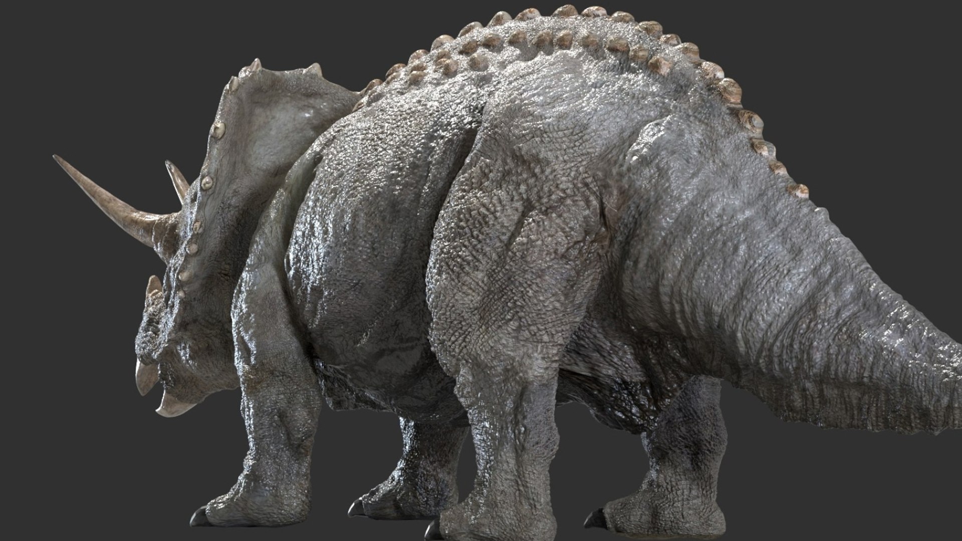 triceratops 3D 3D model https://p.turbosquid.com/ts-thumb/yC/AuHx52/dT/08/jpg/1750642803/1920x1080/fit_q87/c7a91761f8c2dc914a418321d9e3dfd77815efc9/08.jpg