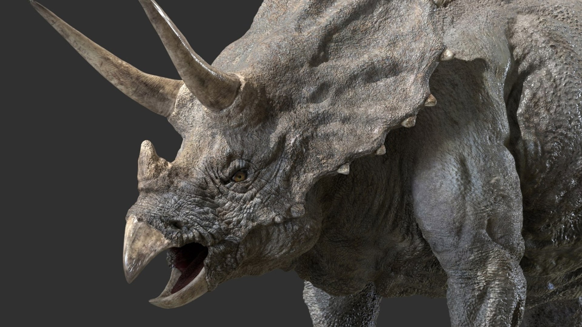 triceratops 3D 3D model https://p.turbosquid.com/ts-thumb/yC/AuHx52/oo/06/jpg/1750642802/1920x1080/fit_q87/510e270c6d153e8931a4320d2c8d297f42ee4540/06.jpg