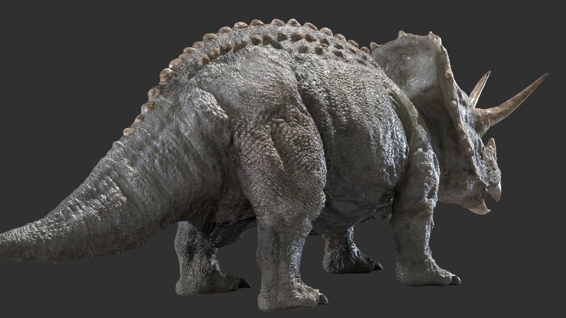 triceratops 3D 3D model https://p.turbosquid.com/ts-thumb/yC/AuHx52/s3/09/jpg/1750642803/1920x1080/fit_q87/93eba94703c9934d73df5e2ee68dd804c4cb10c8/09.jpg