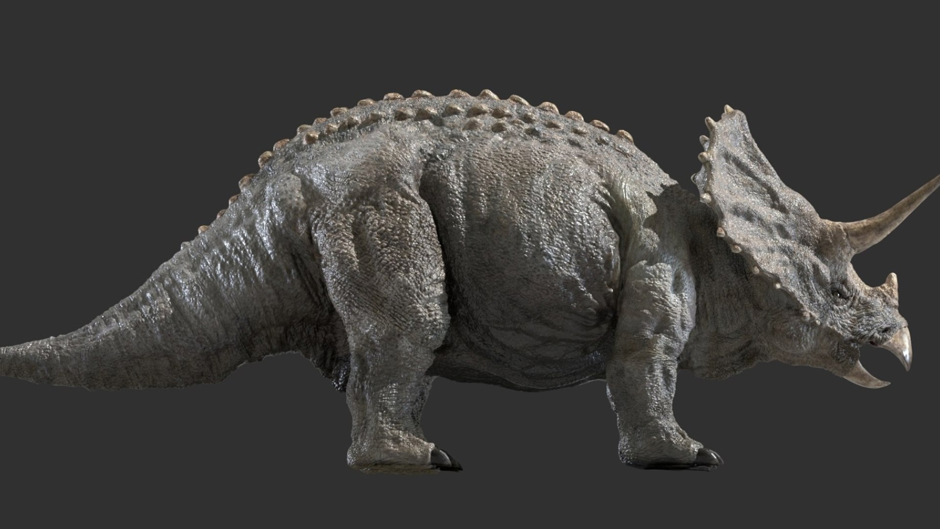 triceratops 3D 3D model https://p.turbosquid.com/ts-thumb/yC/AuHx52/u2/11/jpg/1750642804/1920x1080/fit_q87/f4f80ecfa5e4d84270c68ee52797e7c8371b81b7/11.jpg