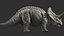 triceratopo 3D